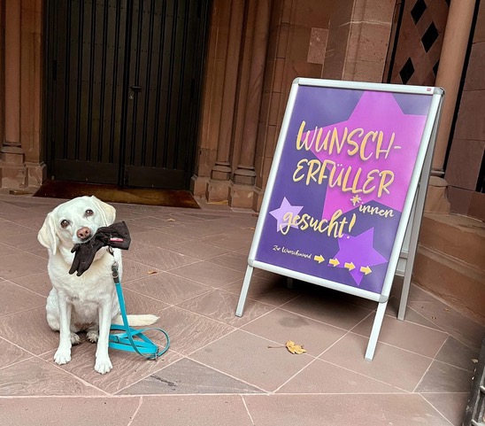 lukas-luther-wunscerfuller-2025-a